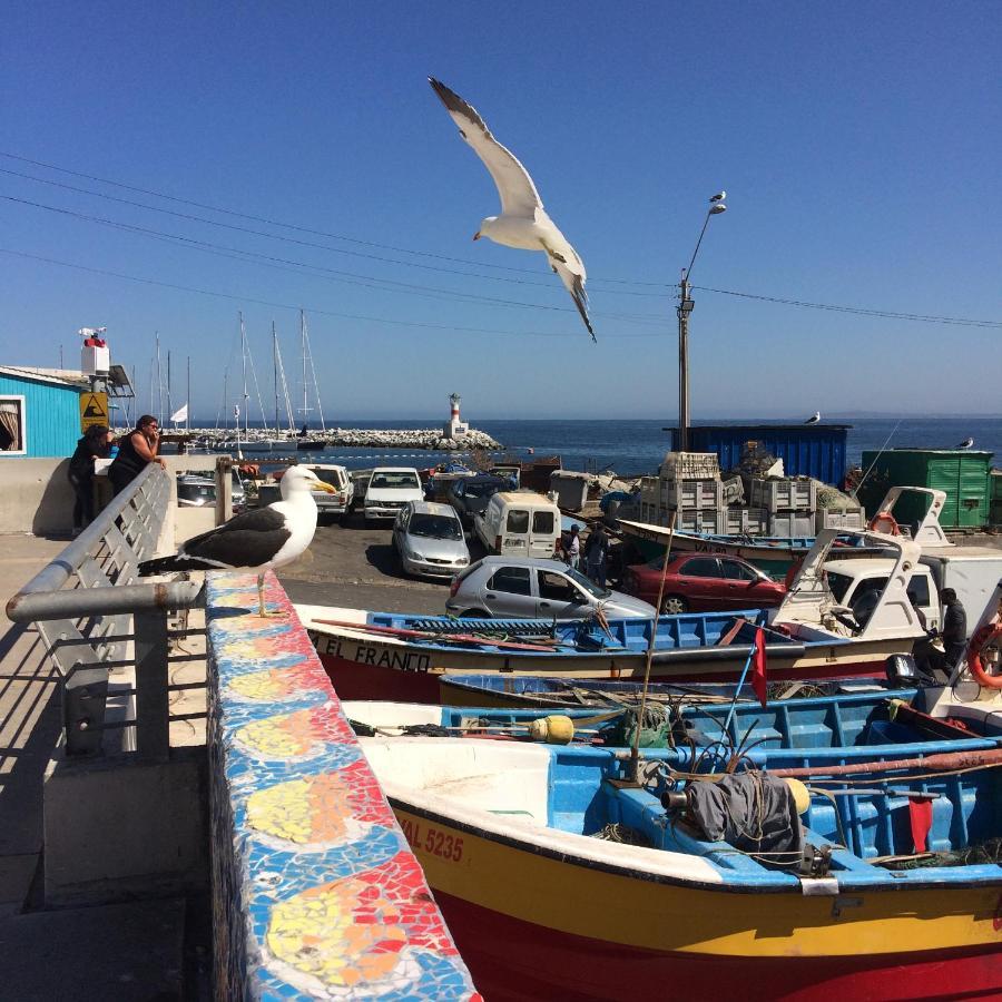 Bahia Luz Hostal Concón エクステリア 写真